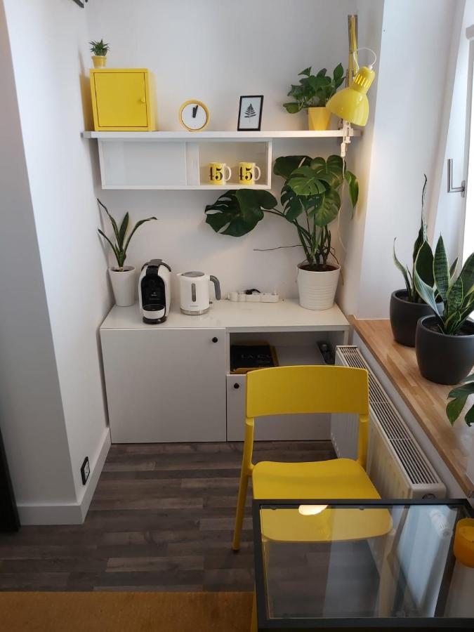 Apartament Na Wyspie 奥普尔 外观 照片