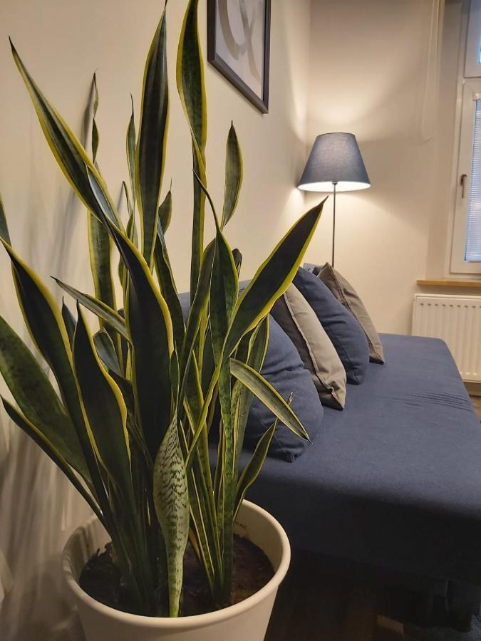 Apartament Na Wyspie 奥普尔 外观 照片